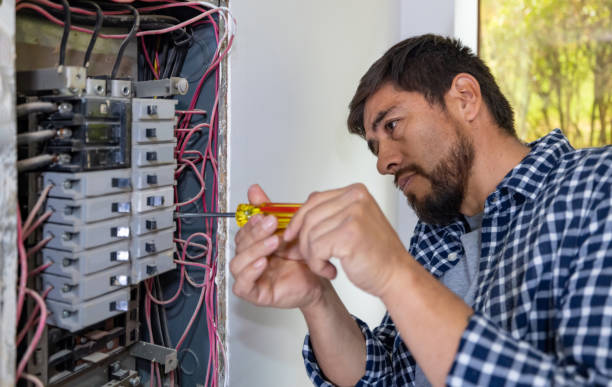 Best Electrical System Inspection  in Millvale, PA